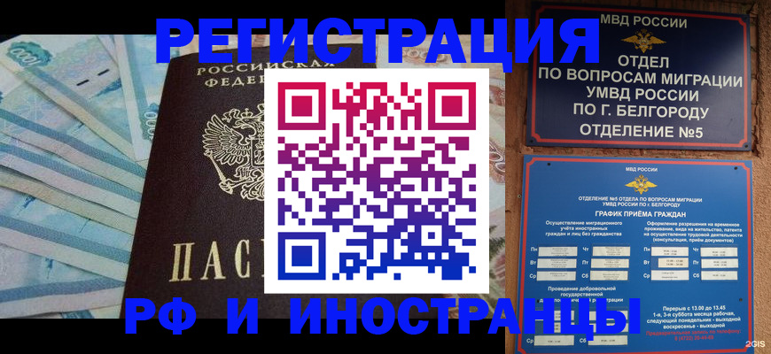 временная регистрация недорого в Ельне