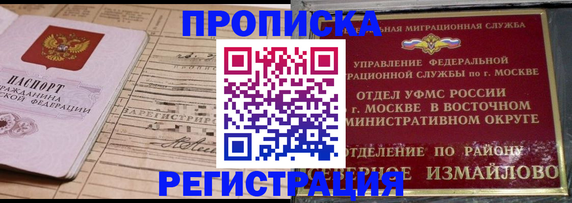 где прописаться в Ельне